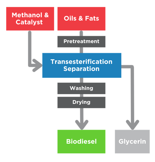 Biodiesel Process
