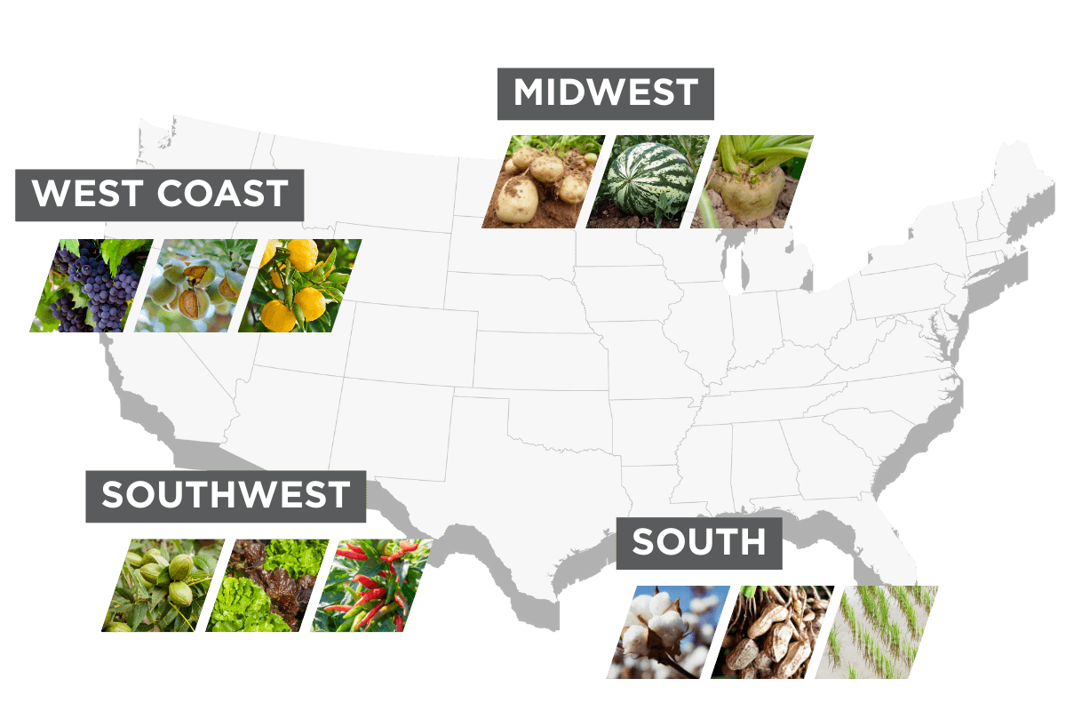Magnesium Thiosulfate Map