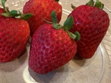 Strawberries Treated with Hydroxycide 572