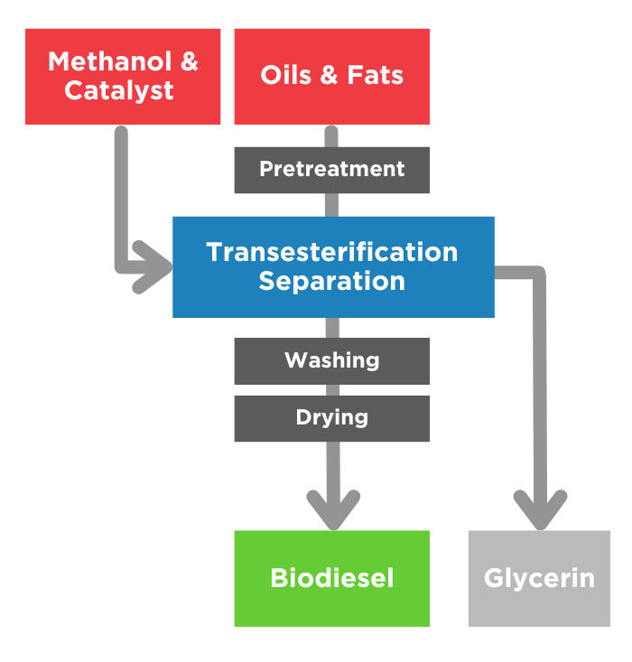 Biodiesel