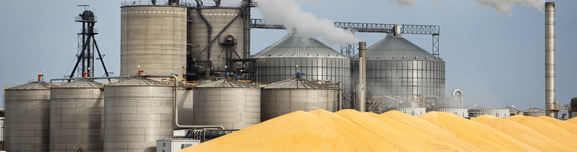 CIP Chemistries Ethanol Production