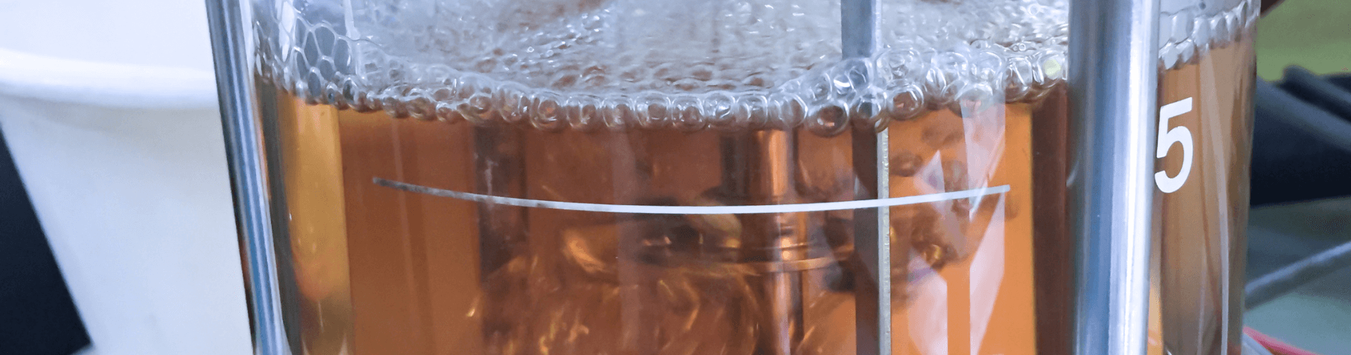 Fermentation