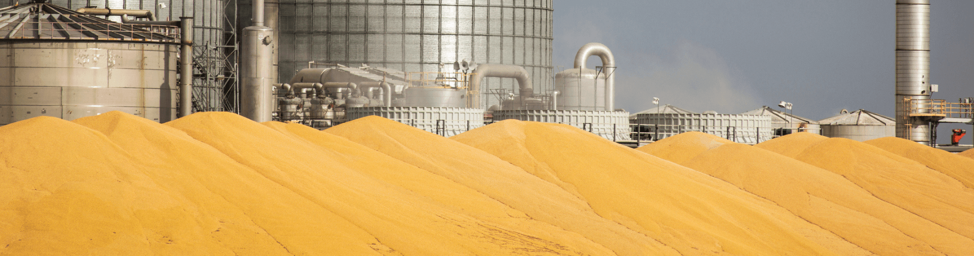 biofuels ethanol plant DDG