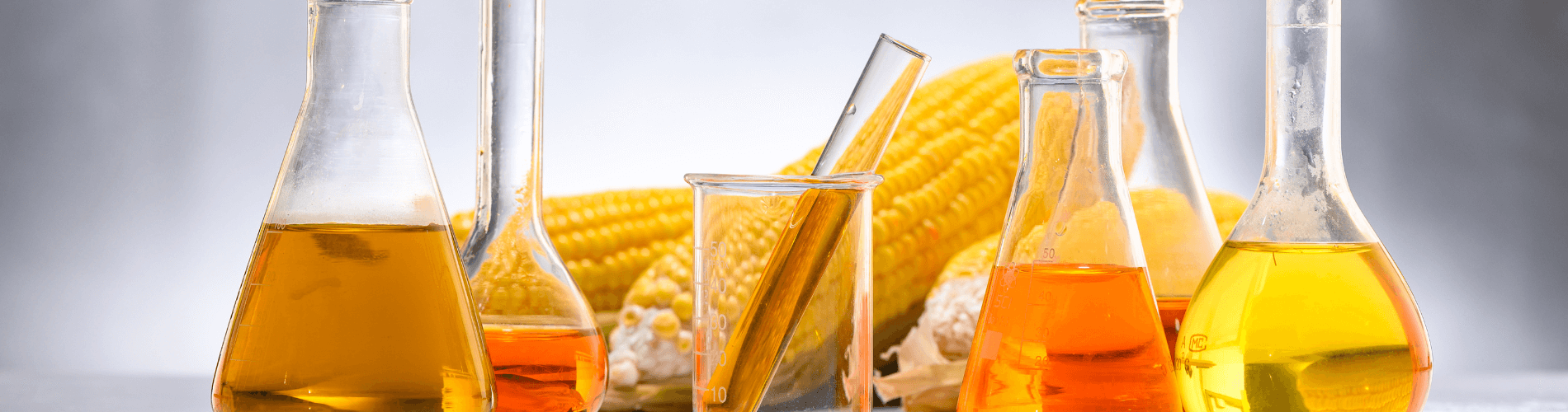 corn oil optimization