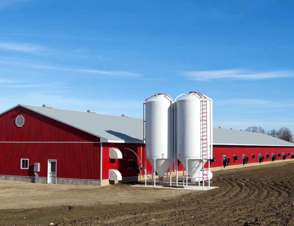 poultry processing farm