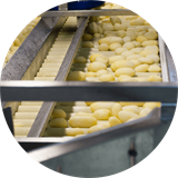 Potato Processing Solutions