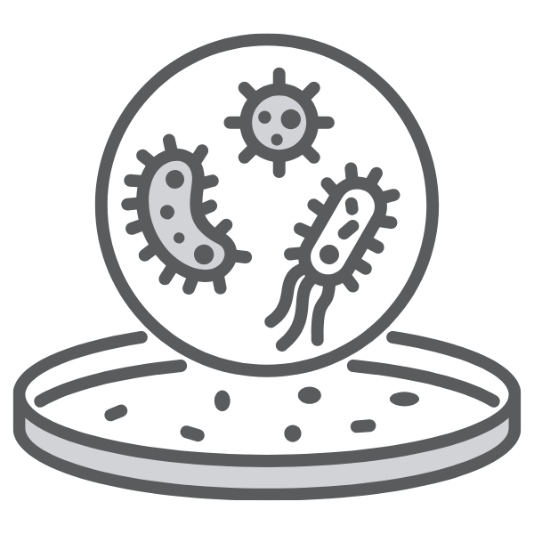 The RITE Team Microbiology Group