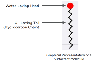 Surfactant Molecule