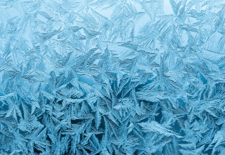 Product Freezing Points