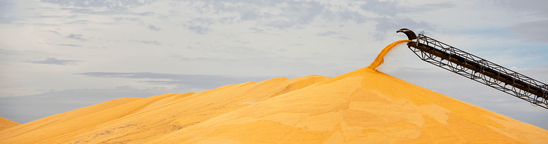 Ethanol Plant Corn Pile