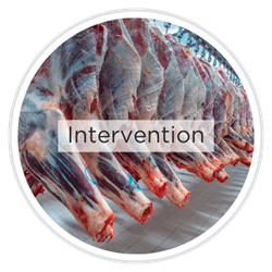 Intervention Chemistry (Meat, Poultry, Seafood)