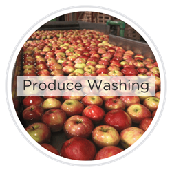 Washing Fruits, Vegetables, Nuts, Seeds, and Eggs