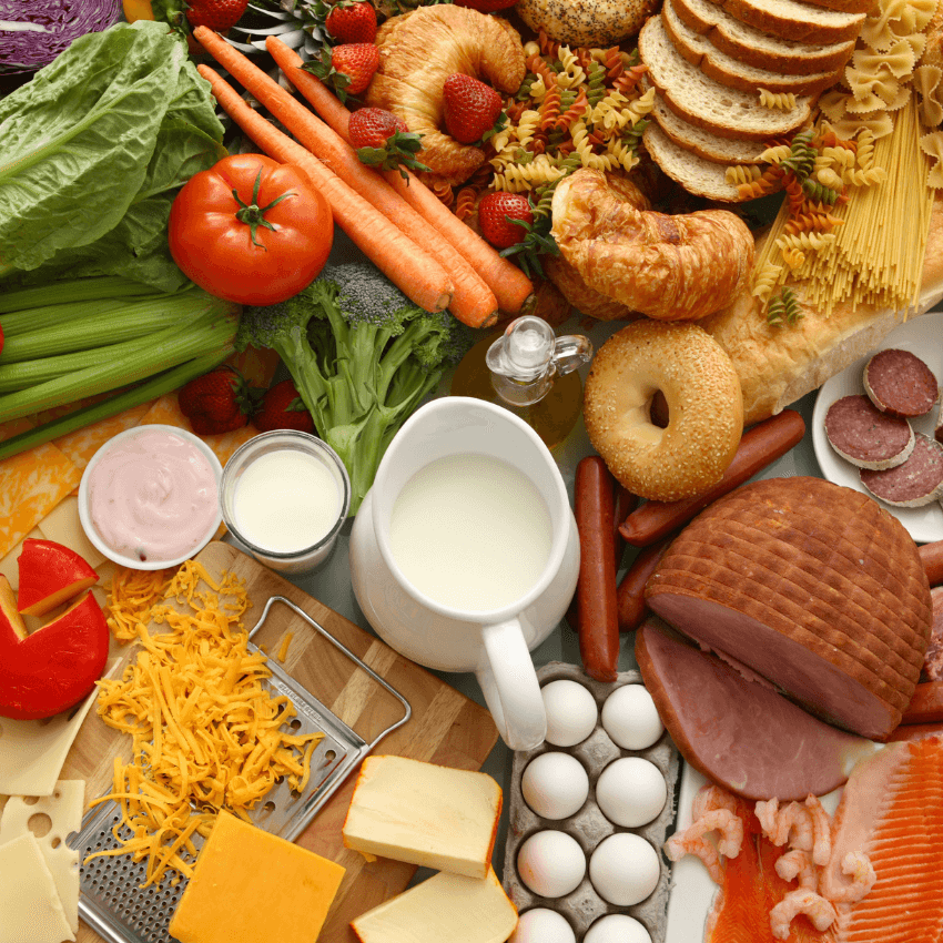 Food & Beverage Fermentation