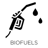 Biofuels Industry